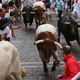Illustration for article titled Guy Who Wrote Book on How Not to Get Gored by Bulls Gets Gored by Bull